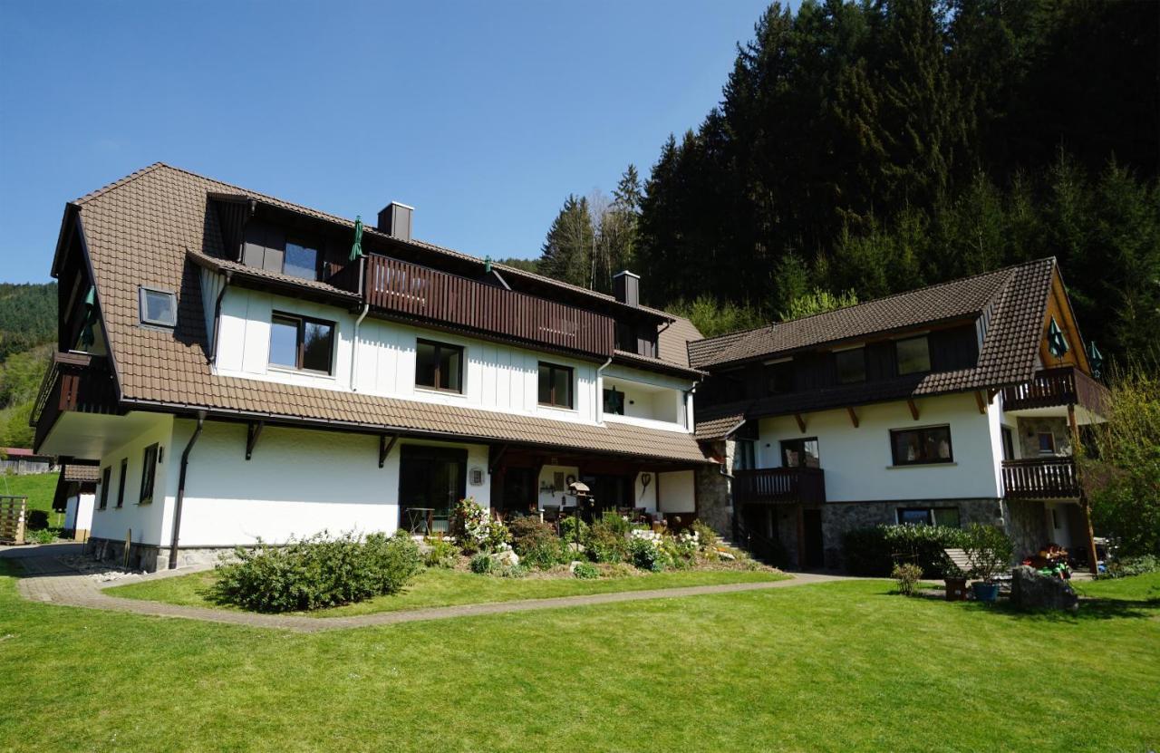 Gummeneck - Stubenhof, Black Forest Simonswald Esterno foto